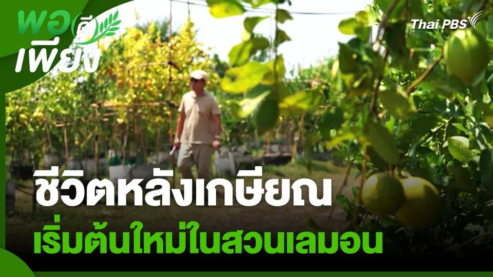 ชีวิตหลังเกษียณ เริ่มต้นใหม่ในสวนเลมอน