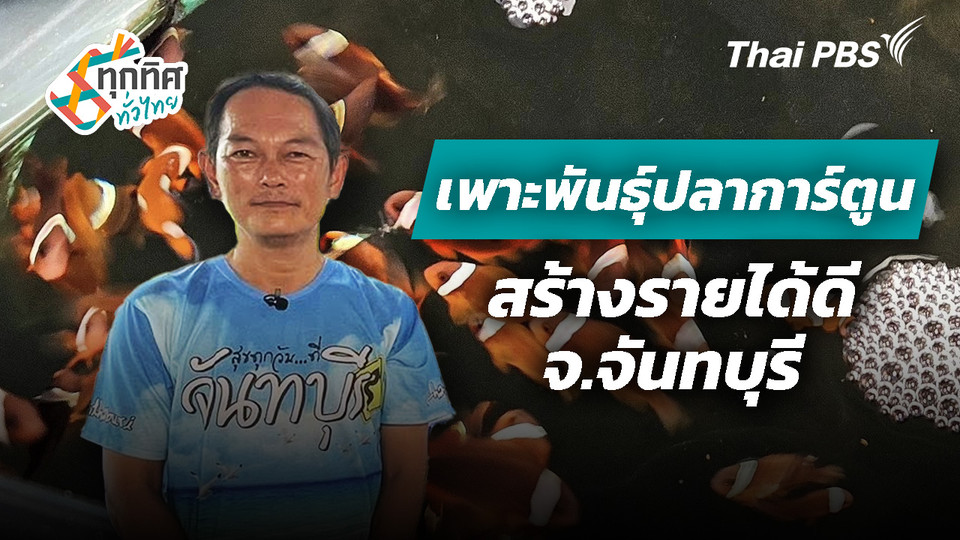 เพาะพันธุ์ปลาการ์ตูน จ.จันทบุรี