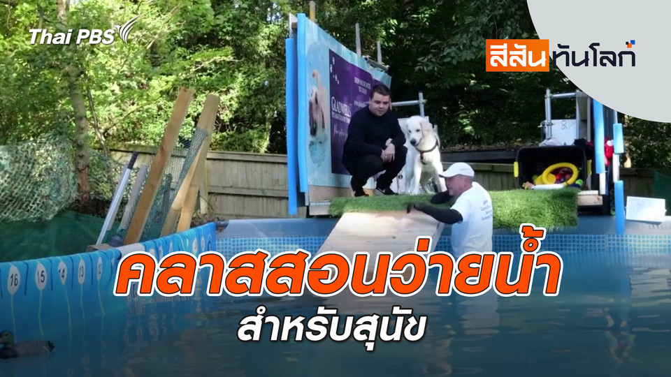 คลาสสอนว่ายน้ำสำหรับสุนัข | 18 ต.ค. 68