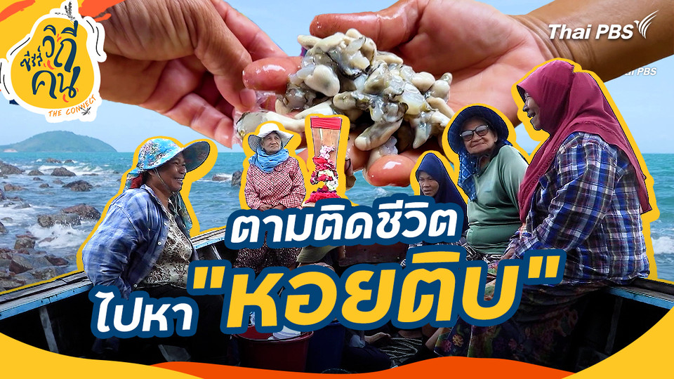 ช็อตเด็ดซีรีส์วิถีคน : ตามติดชีวิต ไปหา "หอยติบ"