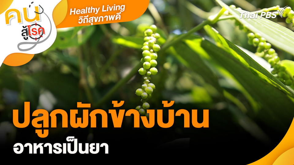 Healthy living วิถีสุขภาพ : ปลูกผักข้างบ้านอาหารเป็นยา