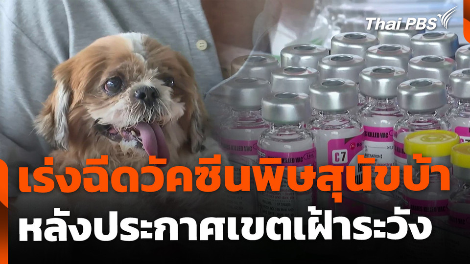 "เขตสายไหม" เร่งฉีดวัคซีนพิษสุนัขบ้า หลังประกาศเขตเฝ้าระวัง
