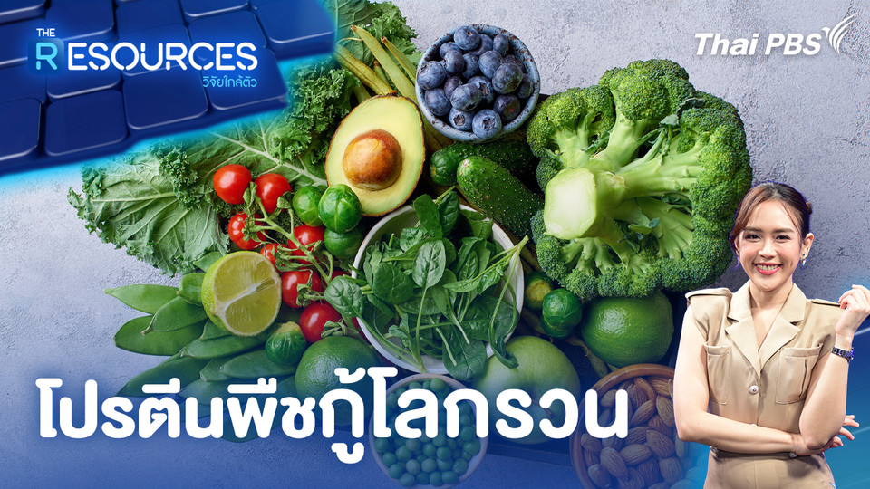 โปรตีนพืช กู้โลกรวน