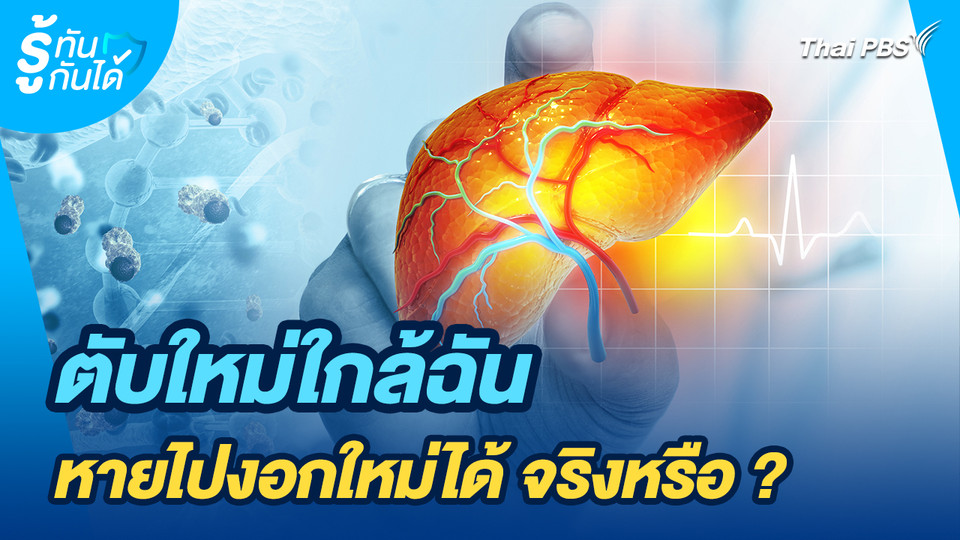 รู้ทันกันได้ : ตับใหม่ใกล้ฉัน หายไปงอกใหม่ได้ จริงหรือ ?