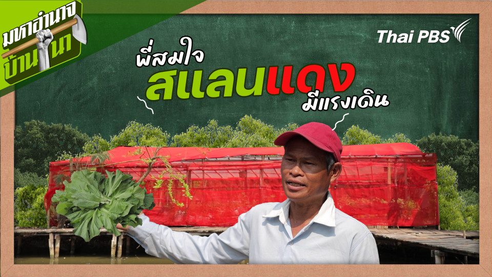 สูตรลับฉบับบ้านนา : พี่สมใจสแลนแดง มีแรงเดิน