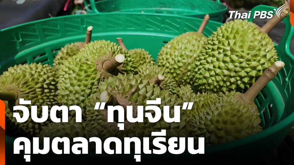 จับตา “ทุนจีน” คุมตลาดทุเรียน