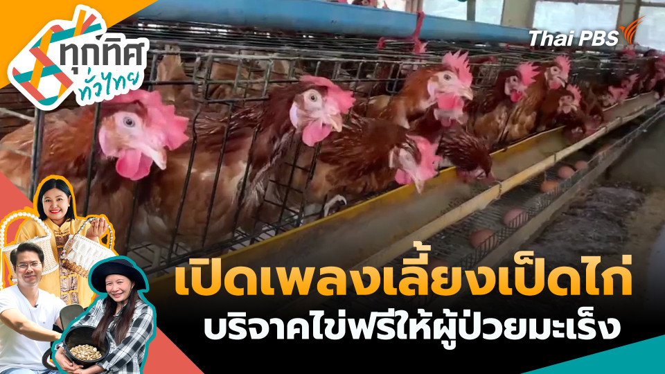 เปิดเพลงเลี้ยงเป็ดไก่และบริจาคไข่ฟรีให้ผู้ป่วยมะเร็ง