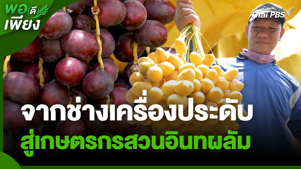 พอดีพอเพียง : จากช่างเครื่องประดับ สู่เกษตรกรสวนอินทผลัม