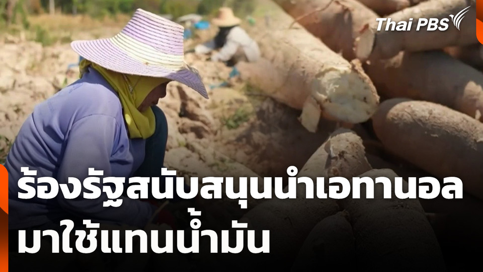 ร้องรัฐสนับสนุนนำเอทานอลมาใช้แทนน้ำมัน