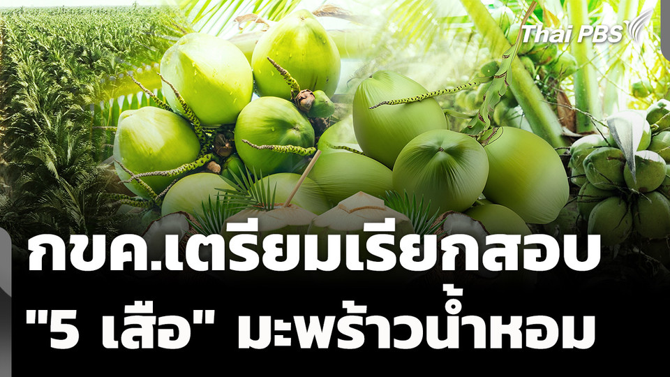 กขค.เตรียมเรียกสอบ "5 เสือ" มะพร้าวน้ำหอม