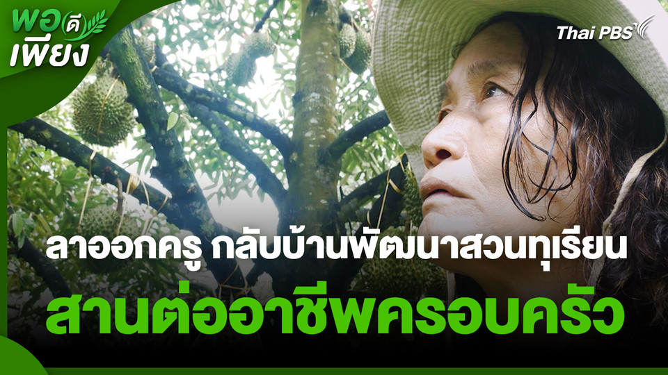 พอดีพอเพียง : ลาออกจากอาชีพครู กลับบ้านพัฒนาสวนทุเรียน สานต่ออาชีพครอบครัว