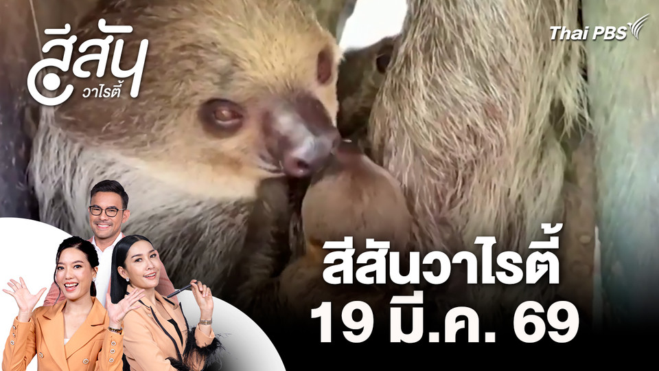 สีสันวาไรตี้ (19 มี.ค. 69)