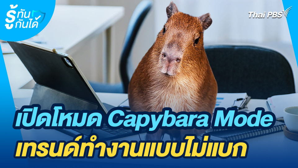 รู้ทันกันได้ : เปิดโหมด Capybara Mode เทรนด์ทำงานแบบไม่แบก