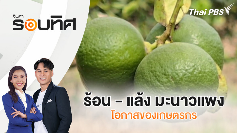 ร้อน - แล้ง มะนาวแพง โอกาสของเกษตรกร | จับตารอบทิศ | 25 มี.ค. 69