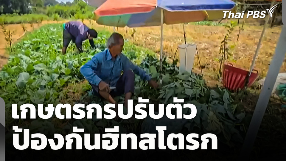 เกษตรกรปรับตัวป้องกัน "ฮีทสโตรก" 