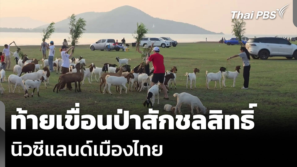 ท้ายเขื่อนป่าสักชลสิทธิ์ นิวซีแลนด์เมืองไทย