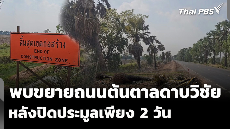 พบขยายถนนต้นตาลดาบวิชัย หลังปิดประกวดราคาเพียง 2 วัน 