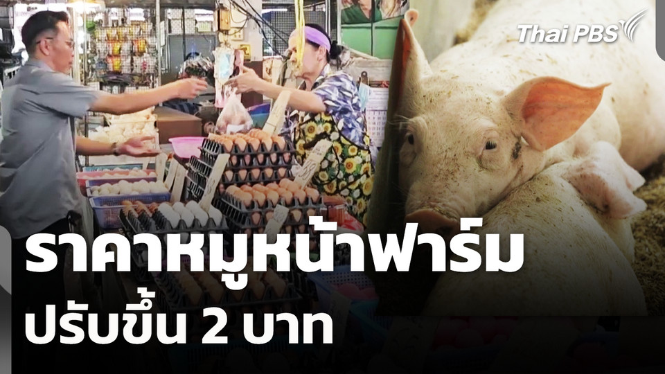 ราคา​หมูหน้าฟาร์ม​ ปรับขึ้น​ 2 บาท 