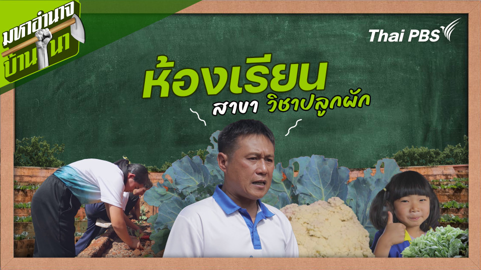 สูตรลับฉบับบ้านนา : ห้องเรียนสาขาวิชาปลูกผัก