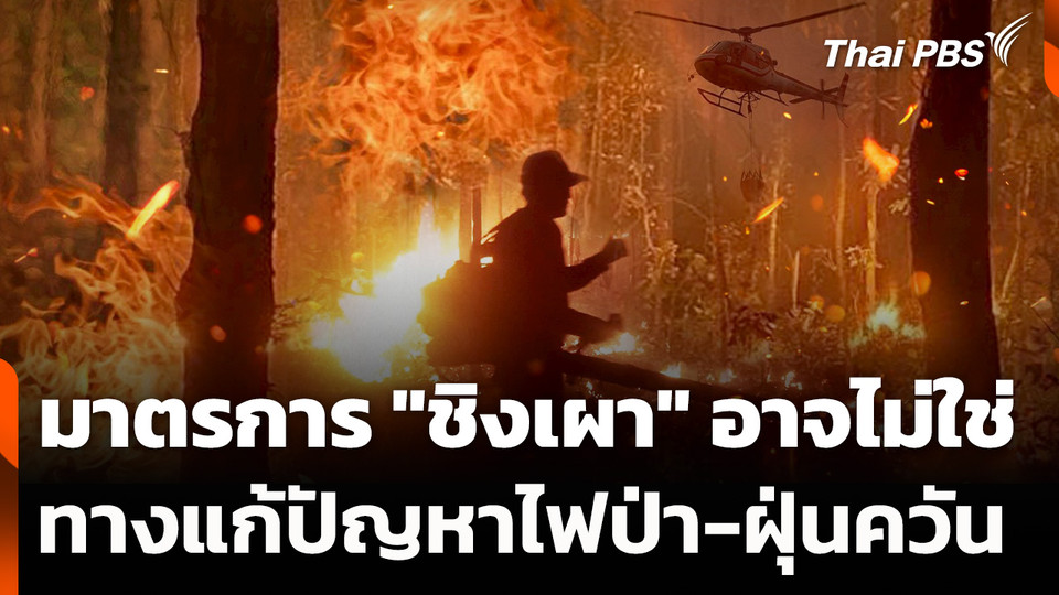มาตรการ "ชิงเผา" อาจไม่ใช่ทางแก้ปัญหาไฟป่า-ฝุ่นควัน