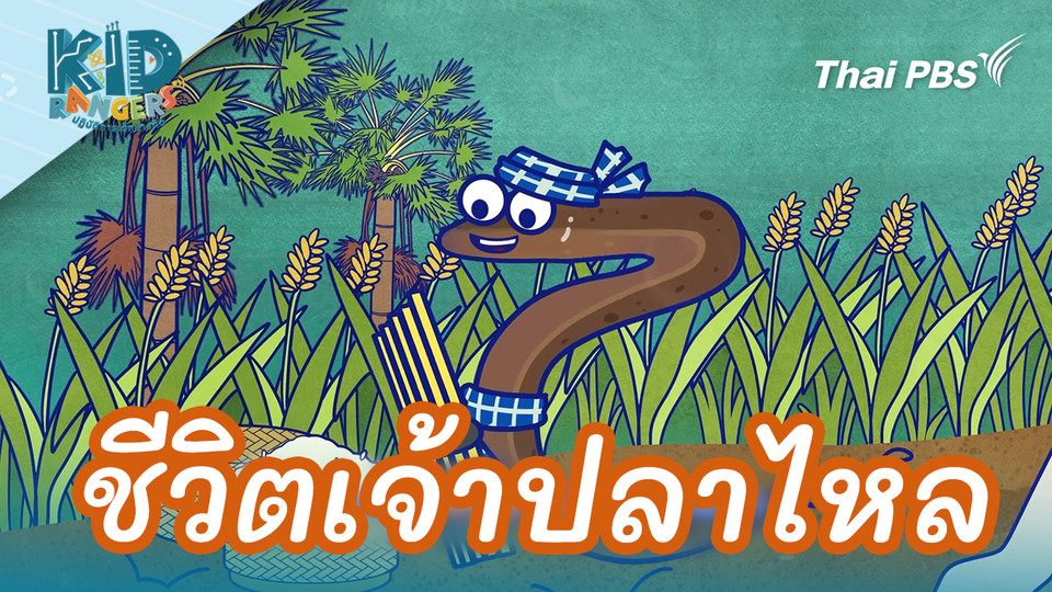 ชีวิตเจ้าปลาไหล