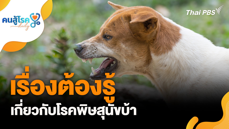 เรื่องต้องรู้เกี่ยวกับโรคพิษสุนัขบ้า