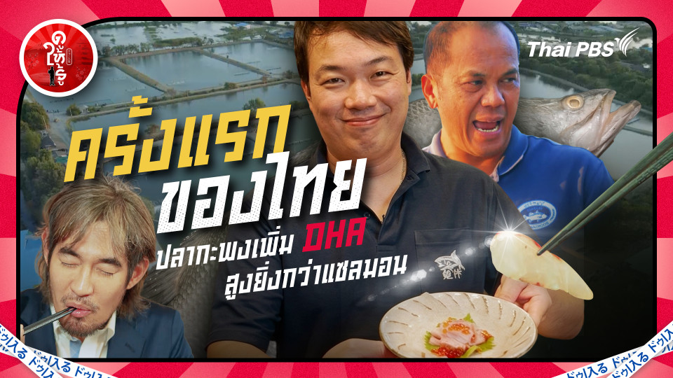 ครั้งแรกของไทย ! ปลากะพงเพิ่ม DHA สูงยิ่งกว่าแซลมอน