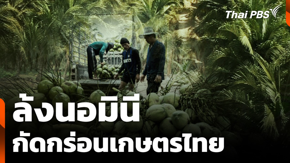 ล้งนอมินี กัดกร่อนเกษตรไทย