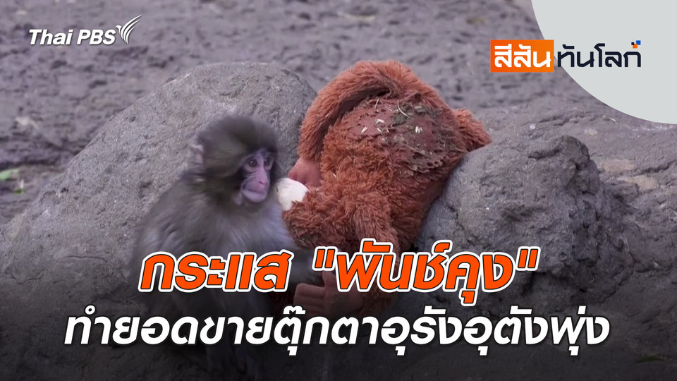 กระแส "พันช์คุง" ทำยอดขายตุ๊กตาอุรังอุตังพุ่ง | 1 มี.ค. 69