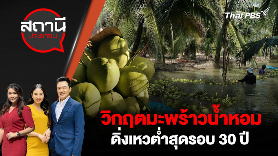  วิกฤตมะพร้าวน้ำหอมดิ่งเหวต่ำสุดรอบ 30 ปี