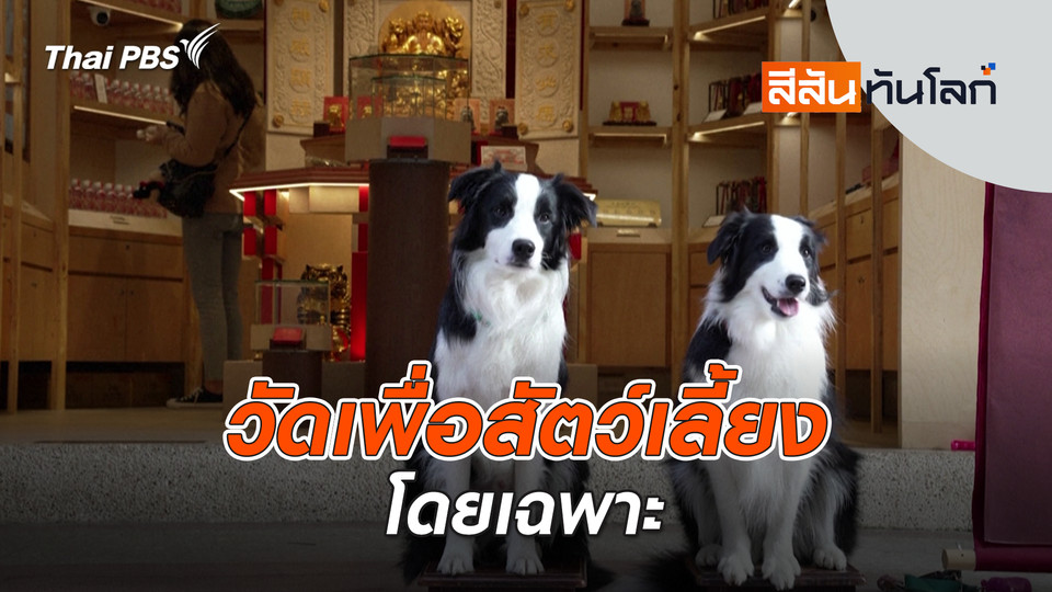 วัดเพื่อสัตว์เลี้ยงโดยเฉพาะ | 8 มี.ค. 69