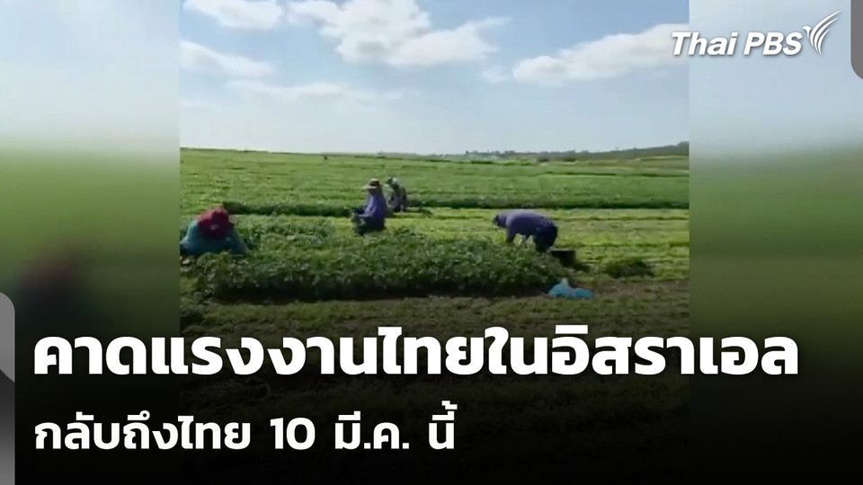 คาดแรงงานไทยในอิสราเอลกลับถึงไทย 10 มี.ค. นี้