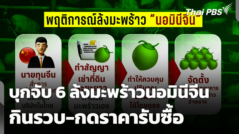 บุกจับ 6 ล้งมะพร้าว "นอมินีจีน" กินรวบ-กดราคารับซื้อ