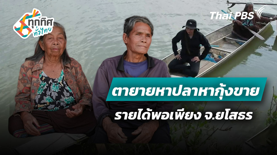 ตายายหาปลาหากุ้งขายมีรายได้พอเพียง จ.ยโสธร