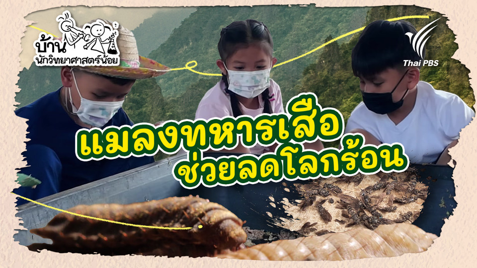 แมลงทหารเสือช่วยลดโลกร้อน