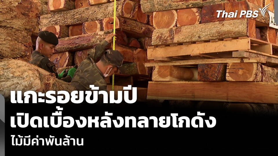 แกะรอยข้ามปี เปิดเบื้องหลังทลายโกดัง ไม้มีค่าพันล้าน