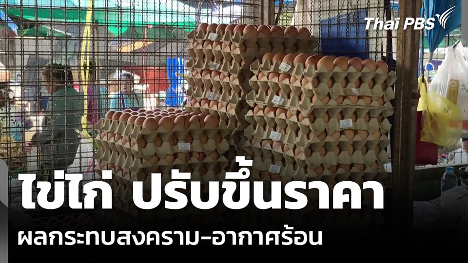 ไข่ไก่ ปรับขึ้นราคา ผลกระทบสงคราม-อากาศร้อน