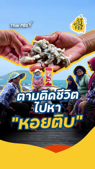 ตามติดชีวิต ไปหา "หอยติบ"