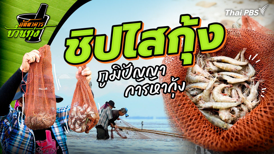 ชิปไสกุ้ง