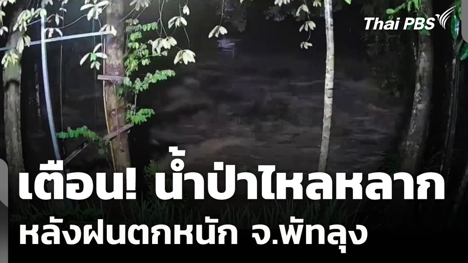 เตือน! น้ำป่าไหลหลาก หลังฝนตกหนัก จ.พัทลุง