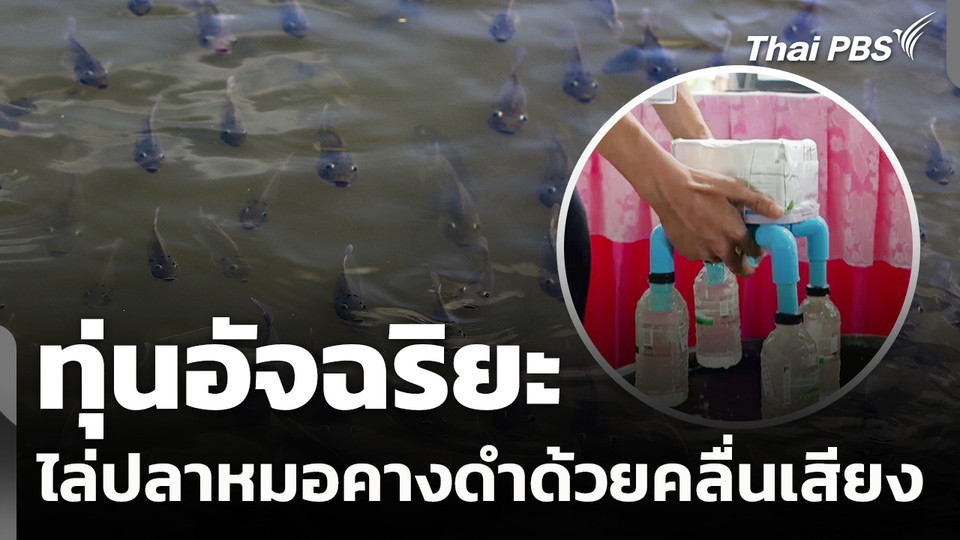 ทุ่นอัจฉริยะไล่ปลาหมอคางดำด้วยคลื่นเสียง