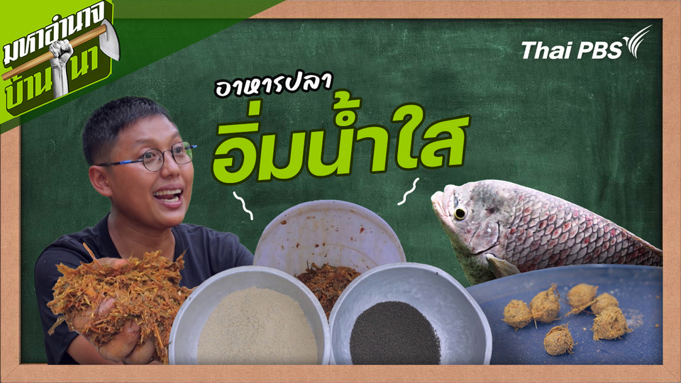 สูตรลับฉบับบ้านนา : อาหารปลาอิ่มน้ำใส
