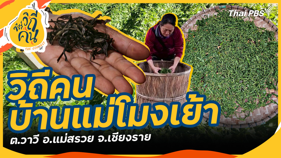 บ้านแม่โมงเย้า ต.วาวี อ.แม่สรวย จ.เชียงราย