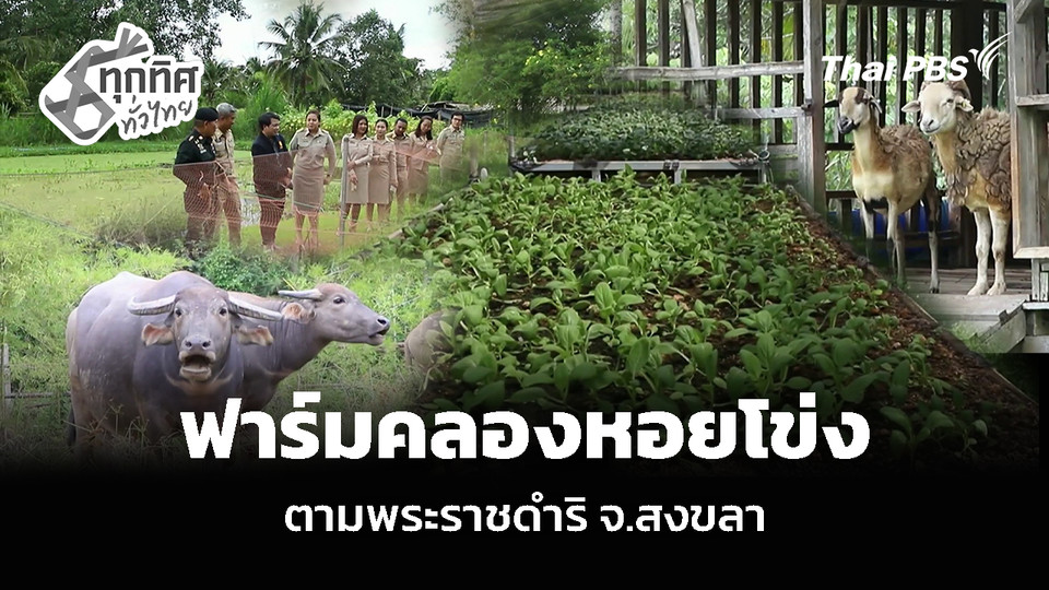 “ฟาร์มคลองหอยโข่ง” ตามพระราชดำริ จ.สงขลา