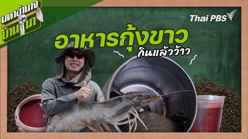 สูตรลับฉบับบ้านนา : อาหารกุ้งขาว กินแล้วว้าว