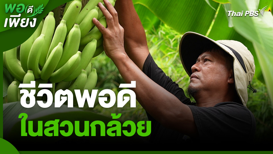 พอดีพอเพียง : ชีวิตพอดีในสวนกล้วย