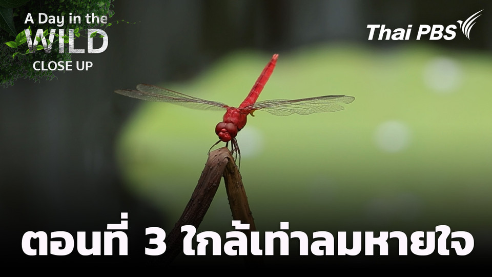  ตอนที่ 3 ใกล้เท่าลมหายใจ