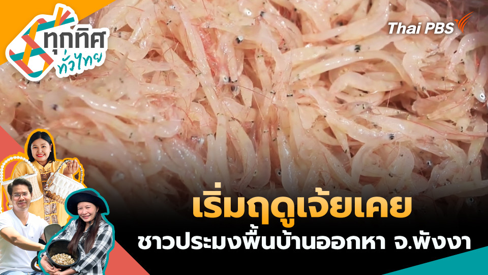 เริ่มฤดูเจ้ยเคยชาวประมงพื้นบ้านออกหา จ.พังงา