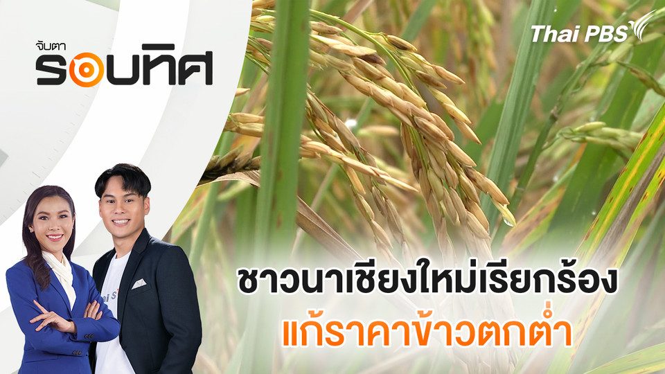 ชาวนาเชียงใหม่เรียกร้องแก้ราคาข้าวตกต่ำ | จับตารอบทิศ | 30 ต.ค. 68