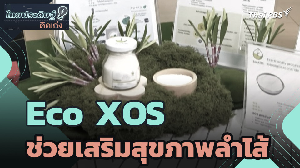 Eco XOS ช่วยเสริมสุขภาพลำไส้